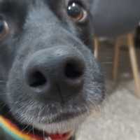 Dario Eduardo Colombani