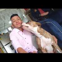 Cristhian Dario Zapata Cortes
