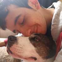 Avatar Daniel Collazos Mendoza