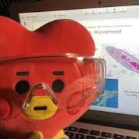 Daniela Alejandra Miranda Reyes