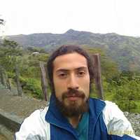 Luis Alberto Roa Huertas