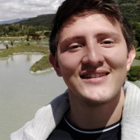 Avatar David Alejandro Sanabria Gamboa