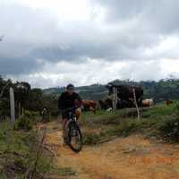 Diego Leon Saldarriaga