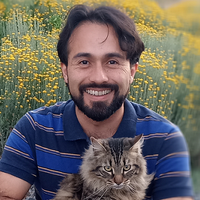 Avatar Diego Julián Silva Reyes