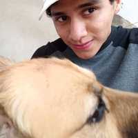 Diego Omar Ortiz Rojas