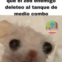 Jacobo Cuervo