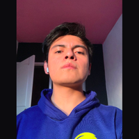 Avatar Fernando Flores Juárez