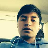 Avatar Alex Fernando Montenegro Almeida