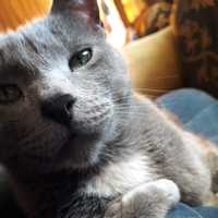 Avatar Jhonatan Jordy Rojas Moreano