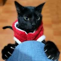 Geovanni Misael González Benítez