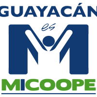 Avatar Edgar PEREZ RECINOS
