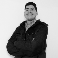 Hendry M. Flores