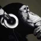 Mr. Data Accumulator