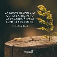 Avatar Hector Rodriguez Argüello