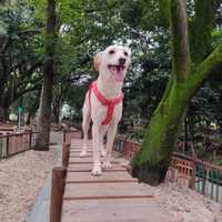 Avatar Harol Restrepo