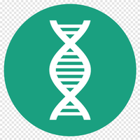 Avatar Ivan Iacovino