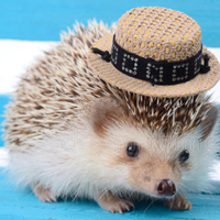 Avatar Ignacio Lucas Oros Campo