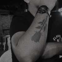 Avatar Jaser Torres