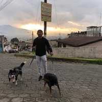 Avatar José Carlos Ola Ruíz