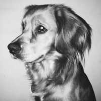 Avatar Jorge Alberto Reyes Rivas