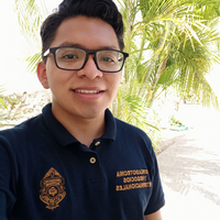Avatar Jorge Armando Aké Gamboa