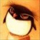 Avatar JOSE LUIS GAVILANES BLACIO