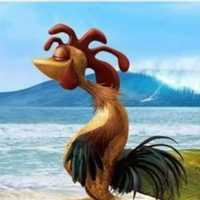 Avatar JOSE ESPINOZA ROMERO