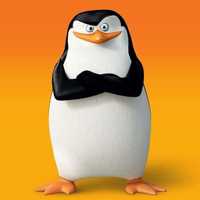Avatar Juan Celis