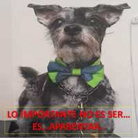 JUAN CARLOS GUTIERREZ GALINDO