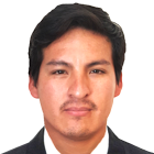 Avatar Julio César Palacios Rojas