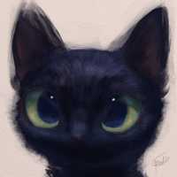 Avatar KAY XKOK LEONARDO PECH HAU