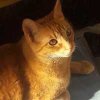 KAROL ANDREA SEPULVEDA LOPEZ