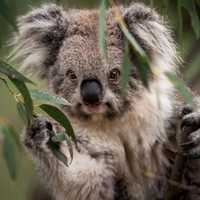 Kevin Adrián Pinilla Naranjo