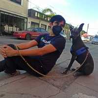 Avatar Kevin Giovanni Del Villar Aguilar