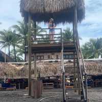 Avatar Nyree Morales