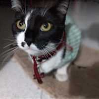 Sebastián González Muñoz