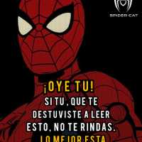 Avatar Leonardo David Guarniz Reyna