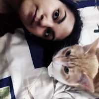 Avatar Liesel Gamarra Reinoso