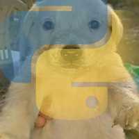 Luis Alberto Figueroa Muñoz