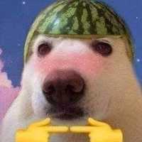 lunanegratr