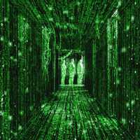 Mitchel Alexander Martinez Realpe