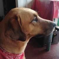Mayda Johanna Vargas Hernandez