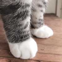 MONSERRATH UGALDE MARTÍNEZ