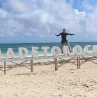 Avatar NELSON DAVID STUART CONTRERAS
