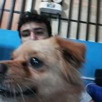 Avatar Orry Nays Cruzado Morey