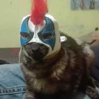 Avatar Osvaldo Saavedra