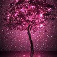 princesa contreras