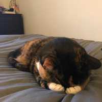 Avatar Gabriela Quiroa