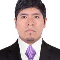 Avatar Reynaldo Meneses Ticona