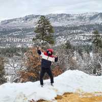 Avatar Rodrigo Aguilar Luna *